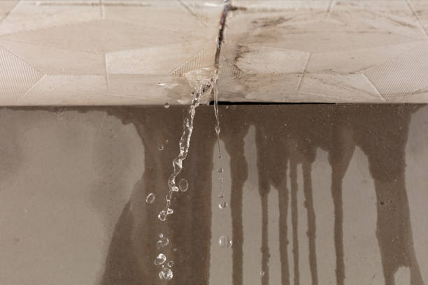 Professional Sewage Cleanup technician working in Salt Rock, WV